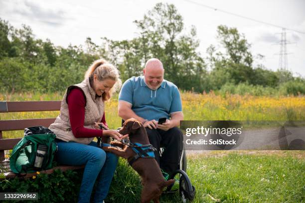 relaxing on a park bench - lichamelijke beperking stockfoto's en -beelden