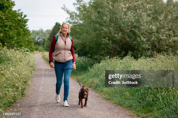 mature woman walking her patterdale terrier - hondenuitlater stockfoto's en -beelden