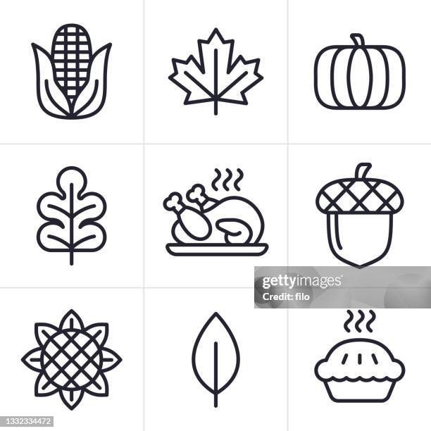 autumn thanksgiving line icon symbols - thanksgiving icons stock illustrations