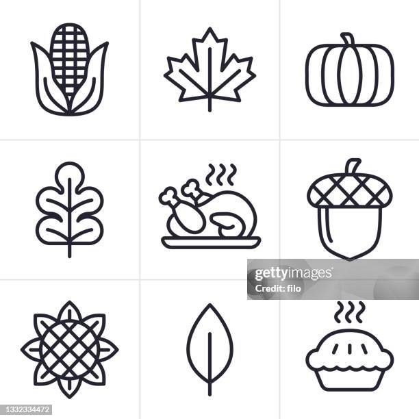 autumn thanksgiving line icon symbols - maple leaf stock illustrations