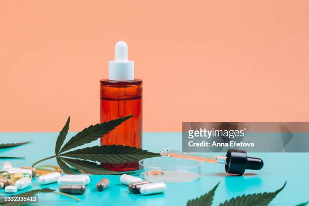 cbd oil in bottle and in pipette in petri dish near nutritional supplements made of cannabis on orange-turquoise background with cannabis leaves. copy space for your design. front view - nutritional supplement stockfoto's en -beelden