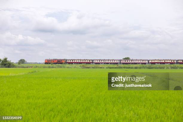 old thai train in landscape behind rice field in province of phitsanulok - phitsanulok province stock pictures, royalty-free photos & images