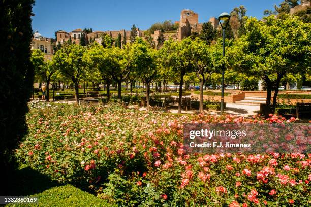 landscape of flowers and trees with the alcazaba of malaga - alcazaba of málaga stock pictures, royalty-free photos & images