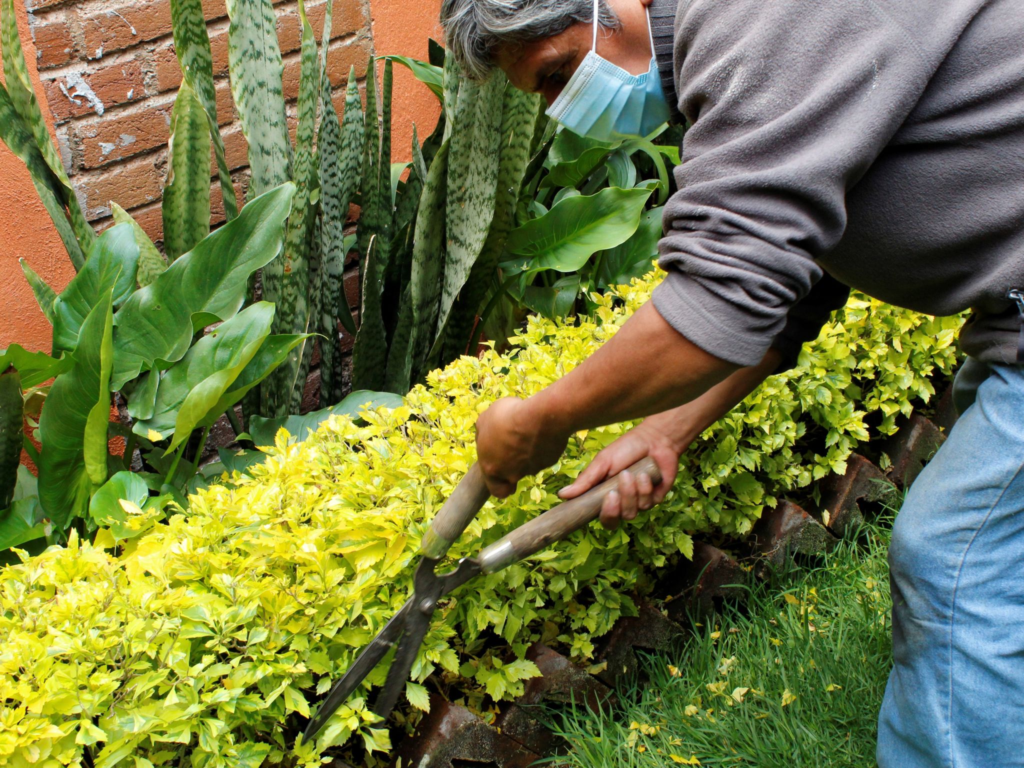 jardín mantenimiento