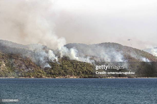 feuer im pinienwald am berg in marmaris, hisarönü, türkei - arid woodlands stock-fotos und bilder