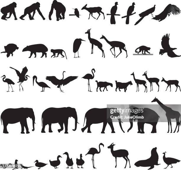 stockillustraties, clipart, cartoons en iconen met zoo animal silhouettes 4 - mensaap