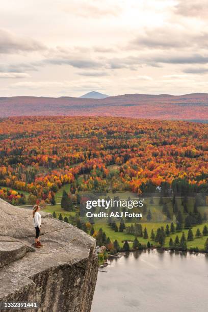 frau, die im herbst auf see und wald schaut. - grenzbaum stock-fotos und bilder