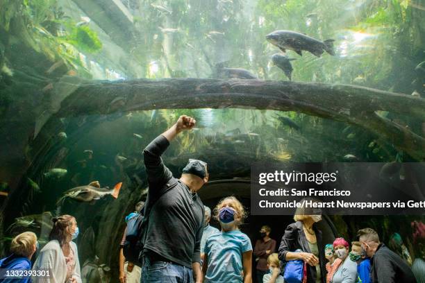 August 3: Visitors enjoy California Academy of Sciences exhibits in San Francisco, Calif., on Tuesday, August 3, 2021. August 3 marks the day that...