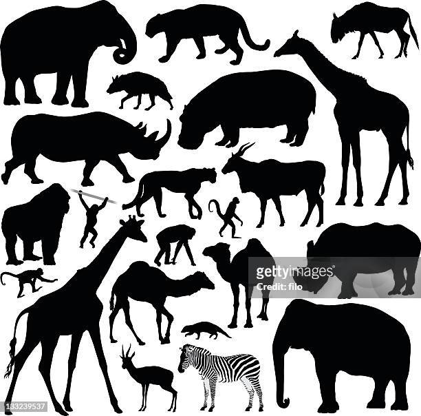 ilustrações, clipart, desenhos animados e ícones de animais africanos - temas de animales
