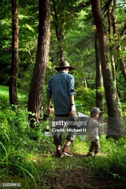 paternity which looks for an insect in woods - butterfly net stock pictures, royalty-free photos & images