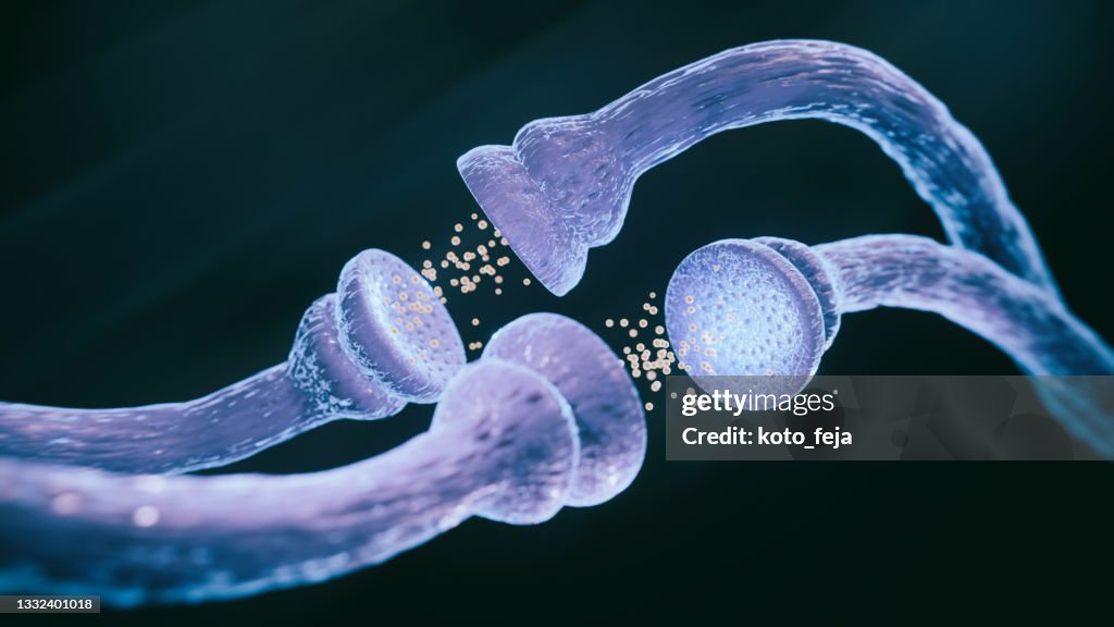 Neuron synapse hologram