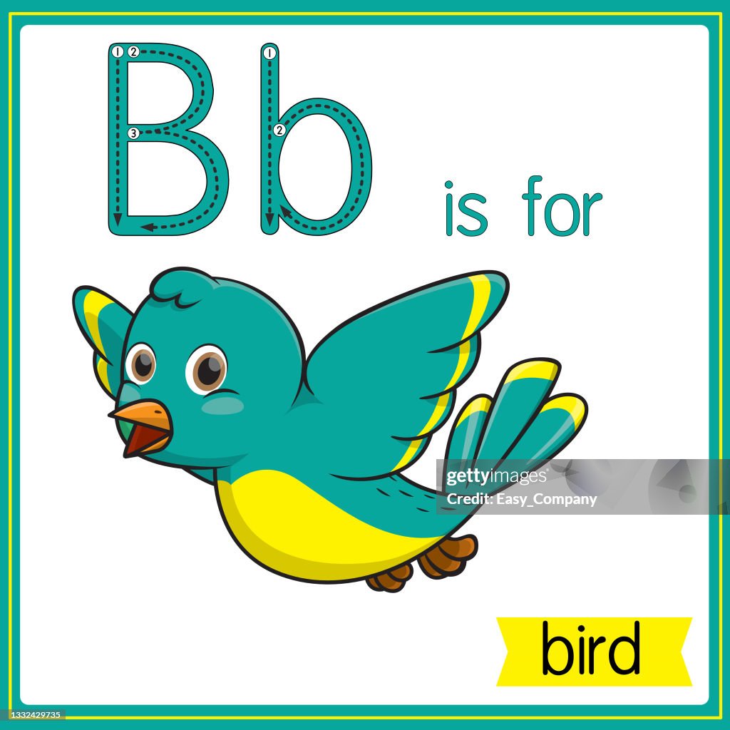 Vector Illustration For Learning The Alphabet For Children With Cartoon  Images Letter B Is For Bird High-Res Vector Graphic - Getty Images