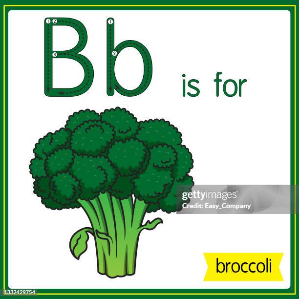 vector illustration for learning the alphabet for children with cartoon images. letter b is for broccoli. - cucumber slices white background stock illustrations