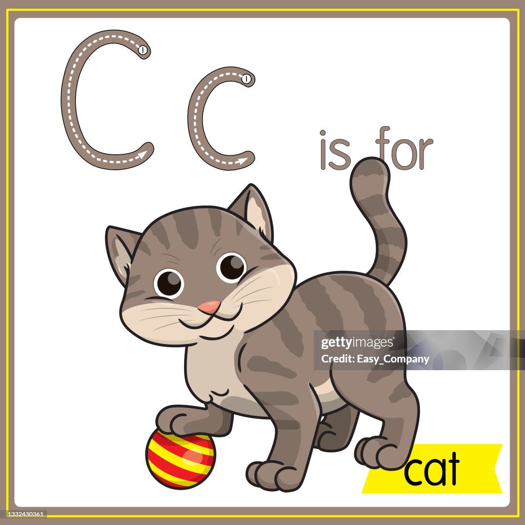 Vector illustration for learning the alphabet For children with cartoon images. Letter C is for cat.