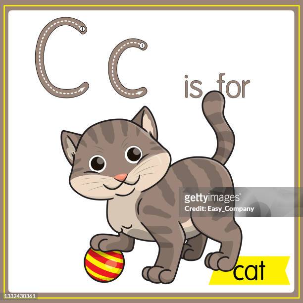 vector illustration for learning the alphabet for children with cartoon images. letter c is for cat. - flash card stock illustrations