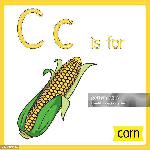 vector illustration for learning the alphabet for children with cartoon images. letter c for corn. - husk 幅插畫檔、美工圖案、卡通及圖標