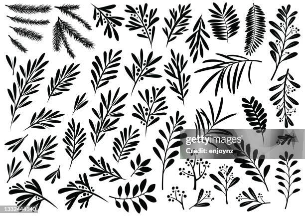 weihnachtspflanzen und blumenmuster - floral illustration stock-grafiken, -clipart, -cartoons und -symbole