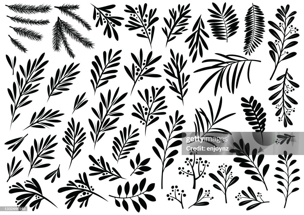 Plantes de Noël et motifs floraux