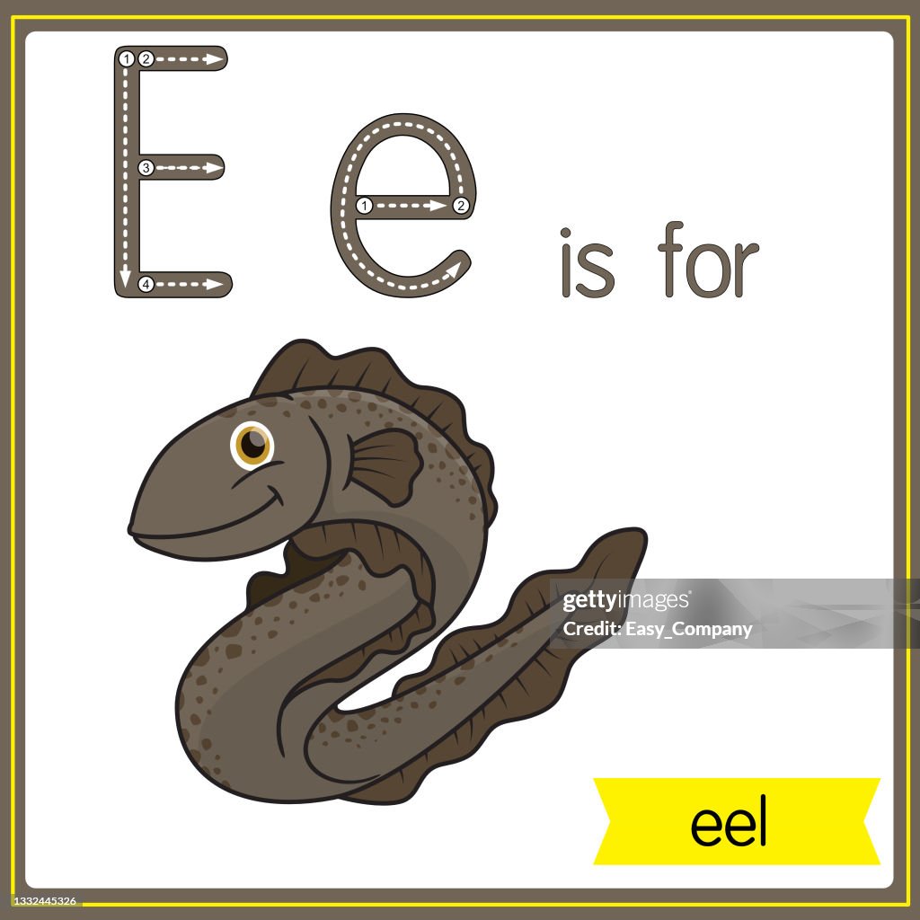 Vector illustration for learning the alphabet For children with cartoon images. Letter E is for eel.