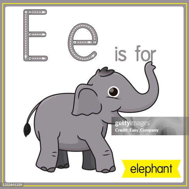 vector illustration for learning the alphabet for children with cartoon images. letter e is for elephant. - elephant ears stock illustrations