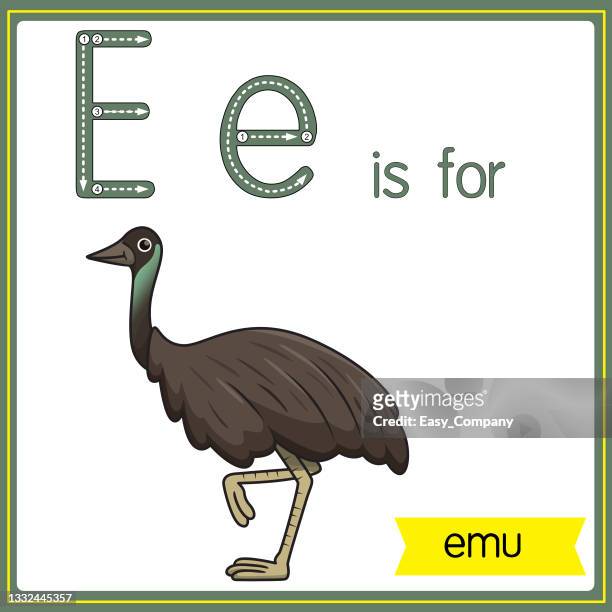 vektorillustration zum erlernen des alphabets für kinder mit cartoon-bildern. buchstabe e steht für emu. - emu stock-grafiken, -clipart, -cartoons und -symbole