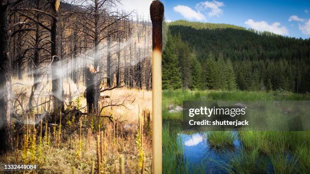 burnt matchstick separating a fire ravaged forest from a lush forest landscape, california, usa - split screen ストックフォトと画像