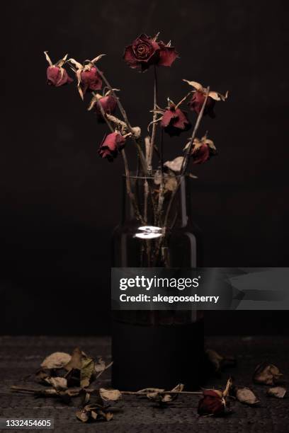 dead rose on black background look like life - death of a rotten photos et images de collection