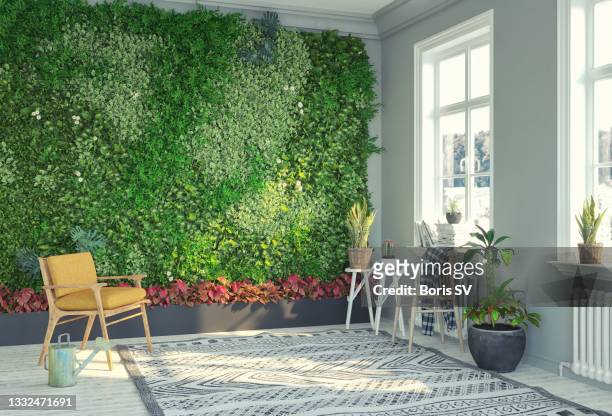 growing vertical garden at home - pared casa fotografías e imágenes de stock