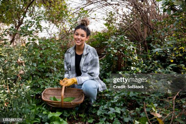 finding her own ingredients - impact stock pictures, royalty-free photos & images