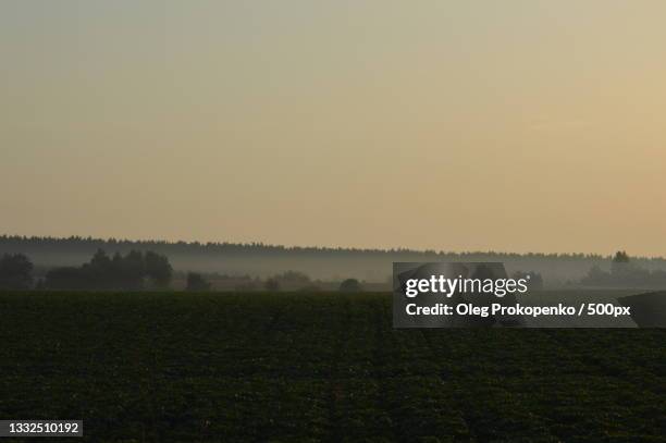 scenic view of field against sky during sunset - oleg prokopenko stock-fotos und bilder