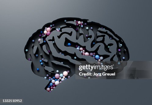 Brain Shape Insert Brain Shape Filled With Spheres High-Res Stock Photo - Getty Images