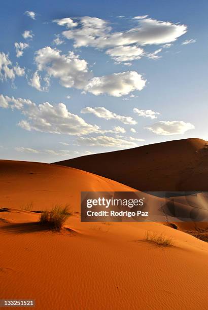 sahara desert - meknes bildbanksfoton och bilder