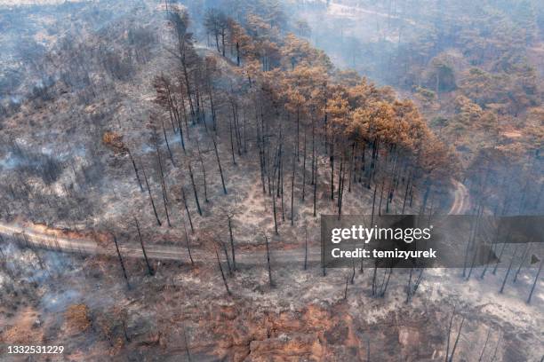 manavgat forest fire - manavgat stock pictures, royalty-free photos & images