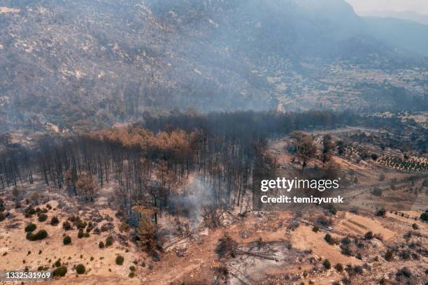 manavgat forest fire - manavgat stock pictures, royalty-free photos & images