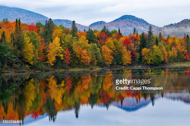 colorful new hampshire foliage along the androscoggin river - vallende bladeren stockfoto's en -beelden
