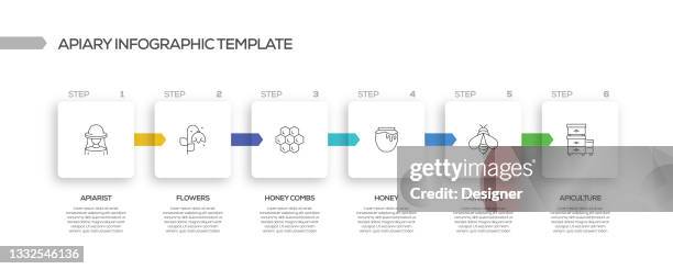 apiary related process infographic template. process timeline chart. workflow layout with linear icons - worker bee stock illustrations