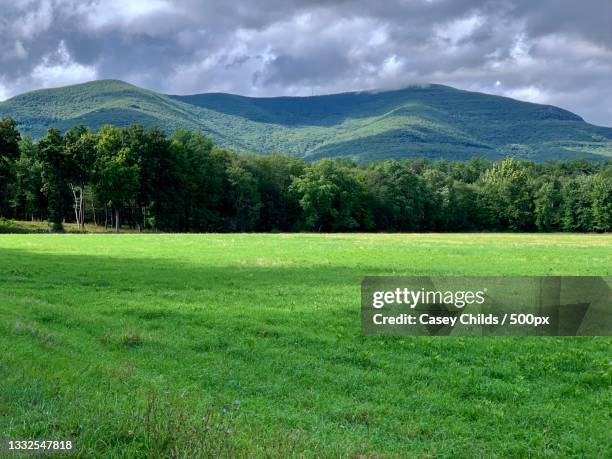 scenic view of field against sky,woodstock,new york,united states,usa - woodstock new york stock pictures, royalty-free photos & images