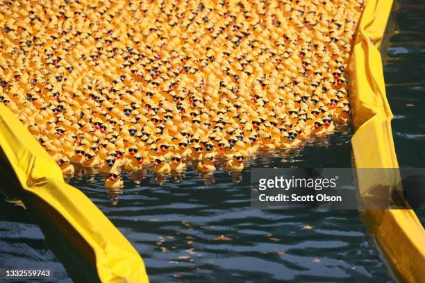Rubber ducks are funneled toward the finish line in the Chicago River during the Chicago Ducky Derby on August 05, 2021 in Chicago, Illinois. Derby...