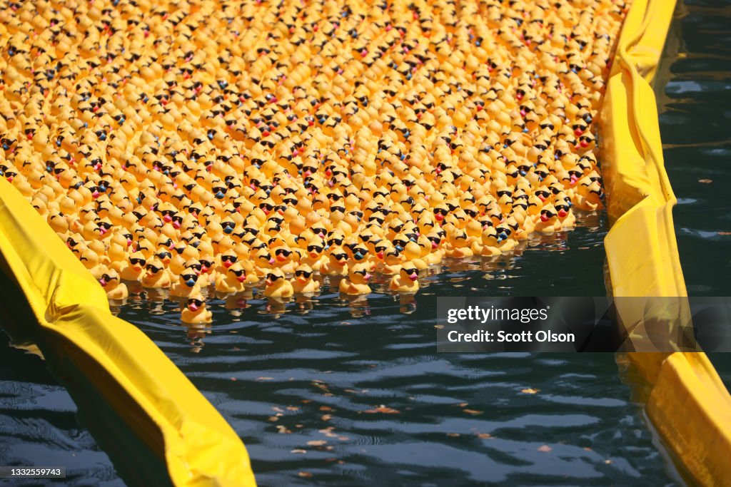 Rubber Ducks "Race" Down Chicago River For Charity