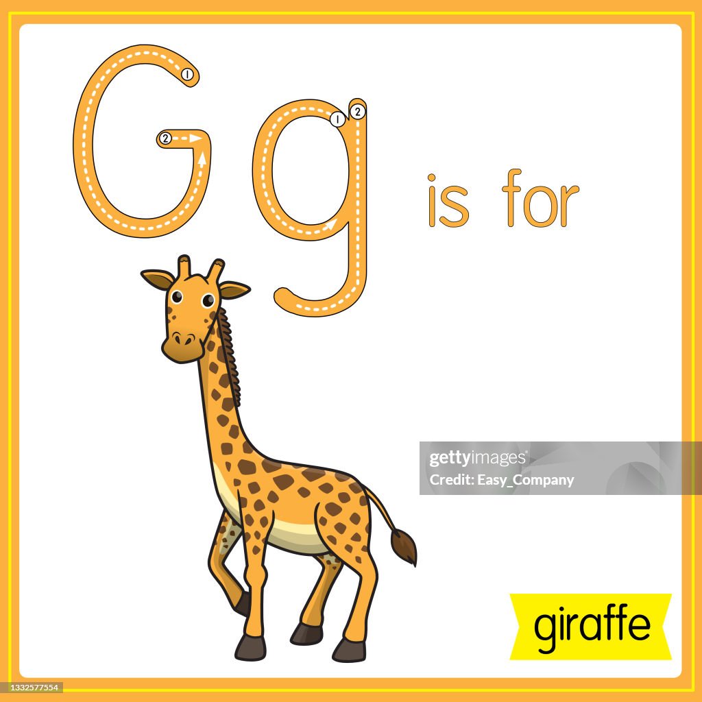 Vector illustration for learning the alphabet For children with cartoon images. Letter G is for giraffe.