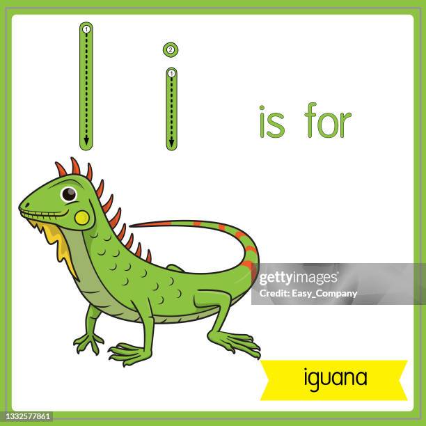ilustraciones, imágenes clip art, dibujos animados e iconos de stock de ilustración vectorial para aprender el alfabeto para niños con imágenes de dibujos animados. la letra i es para iguana. - iguana