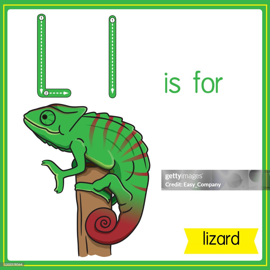 Vector Illustration For Learning The Alphabet For Children With Cartoon  Images Letter L Is For Lizard High-Res Vector Graphic - Getty Images