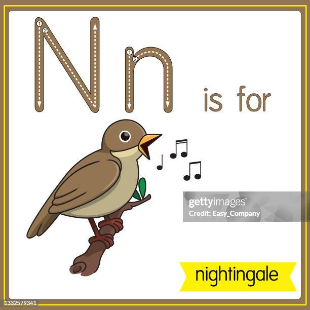 vector illustration for learning the alphabet for children with cartoon images. letter n is for nightingale. - word of mouth stock illustrations