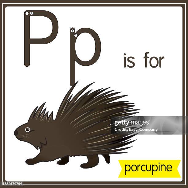 bildbanksillustrationer, clip art samt tecknat material och ikoner med vector illustration for learning the alphabet for children with cartoon images. letter p is for porcupine. - spikigt hår