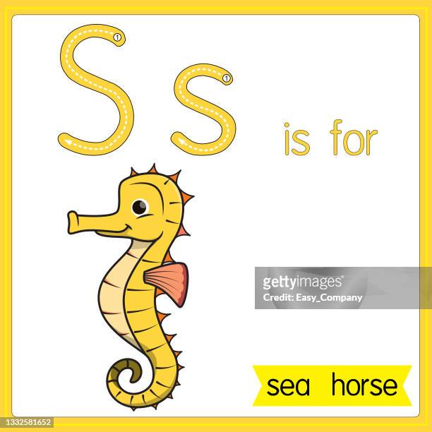 ilustrações, clipart, desenhos animados e ícones de ilustração vetorial para aprender o alfabeto para crianças com imagens de desenhos animados. a carta s é para o cavalo marinho. - cérebro de animal