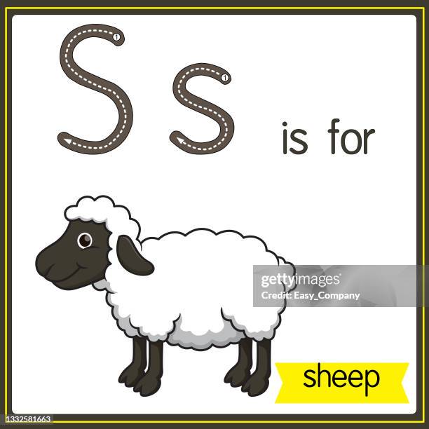 vector illustration for learning the alphabet for children with cartoon images. letter s is for sheep. - student thinking white background stock illustrations
