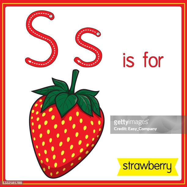 vector illustration for learning the alphabet for children with cartoon images. letter s is for strawberry. - letter s icon stock illustrations