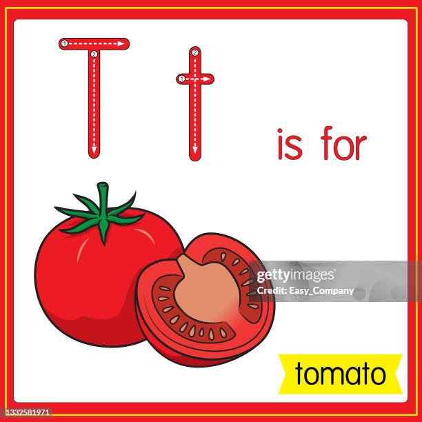 vektorillustration zum erlernen des alphabets für kinder mit cartoon-bildern. buchstabe t steht für tomate. - vegetable juice stock-grafiken, -clipart, -cartoons und -symbole