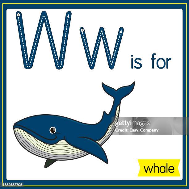 stockillustraties, clipart, cartoons en iconen met vector illustration for learning the alphabet for children with cartoon images. letter w is for whale. - walvis