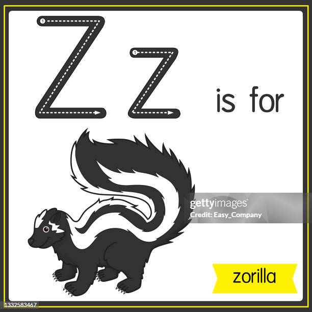 ilustrações de stock, clip art, desenhos animados e ícones de vector illustration for learning the alphabet for children with cartoon images. letter z is for zorilla. - tacaca